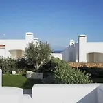 Terry Ostuni